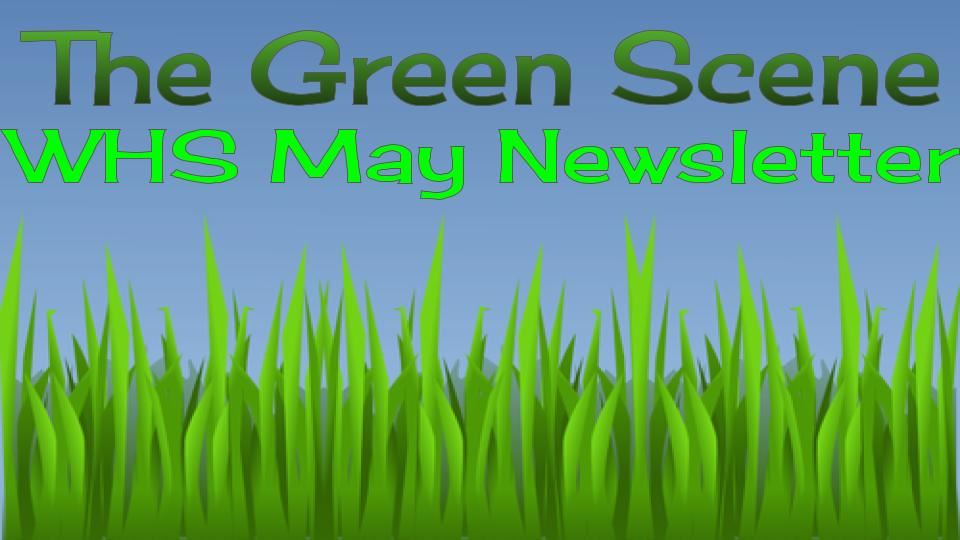  "Green" Scene -      May Newsletter